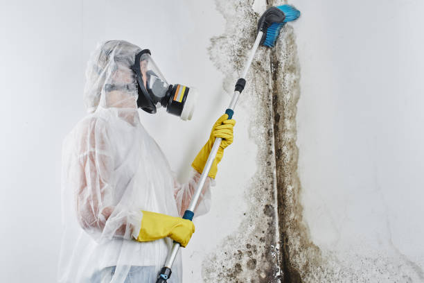 Best Emergency Mold Remediation  in Anadarko, OK